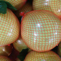 Chinois exportant le pomelo de miel frais standard